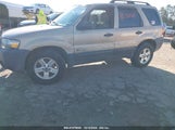 FORD ESCAPE HYBRID 1FMYU49H67K****** снимка