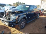 FORD F-150 FX4 1FTFW1ET3EFB55504 снимка