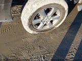 FORD F-150 XLT 1FTEW1C5XJFD24752 снимка