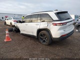 JEEP GRAND CHEROKEE ALTITUDE 4X4 1C4RJHAG6PC620620 fotografie