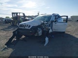 JEEP CHEROKEE TRAILHAWK 4X4 1C4PJMBX9LD529103 снимка
