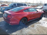 FORD MUSTANG ECOBOOST 1FA6P8TH5F5****** fotografie