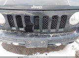 JEEP PATRIOT SPORT 1C4NJRBB6GD713980 снимка