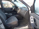FORD ESCAPE XLT/XLT SPORT 1FMYU93137K****** photo