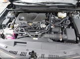 Toyota Camry Xle 4T1F31AK6MU566410 photo