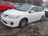 TOYOTA COROLLA LE JTDBU4EE0B9****** photo