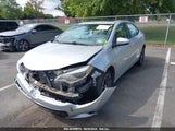 Toyota Corolla S Plus 2T1BURHE1EC107718 снимка