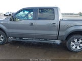 FORD F-150 FX4 1FTFW1EF3CKE07217 снимка