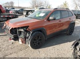 JEEP CHEROKEE TRAILHAWK 1C4PJMBS9FW510516 снимка