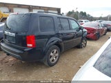HONDA PILOT EX-L 5FNYF3H69BB043509 fotografie