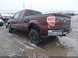 FORD F-150 FX4/LARIAT/XL/XLT 1FTFX1EV3AF****** fotografie