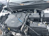 HYUNDAI PALISADE SEL KM8R3DHE9MU309742 снимка