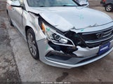 HYUNDAI SONATA SPORT 5NPE34AF7GH376229 снимка
