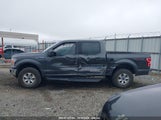 Ford F-150 Xlt 1FTEW1E53LKF51921 снимка