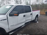 FORD F-150 XLT 1FTFW1CT2EF****** снимка