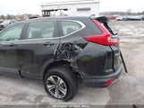 Honda Cr-V Lx 2HKRW6H34KH233439 снимка