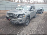 JEEP COMPASS TRAILHAWK 4X4 3C4NJDDB0MT555450 снимка