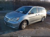 HONDA ODYSSEY EX-L 5FNRL387X7B081408 снимка