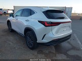 LEXUS NX 250 PREMIUM 2T2GDCAZ5RC****** fotografie