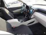 HYUNDAI TUCSON SEL 5NMJBCDE3RH364366 снимка