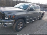 DODGE RAM 1500 SLT 3D7KS19D66G****** fotografie