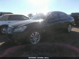 Infiniti M35 JNKAY01E96M102159 снимка