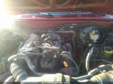 TOYOTA PICKUP 1/2 TON EX LNG WHLBSE DLX JT4RN93PXM5041363 fotografie