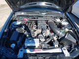 FORD MUSTANG GT DELUXE/GT PREMIUM 1ZVFT82H875263317 photo