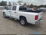 DODGE DAKOTA SLT 1D7HE48K06S****** fotografie