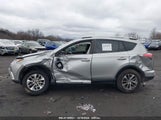 TOYOTA RAV4 HYBRID XLE JTMRJREV1GD014313 fotografie