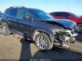 JEEP CHEROKEE LATITUDE PLUS FWD 1C4PJLLB8LD535701 fotografie