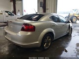 DODGE AVENGER MAINSTREET 1B3BD1FB7BN573061 снимка