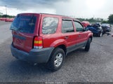 FORD ESCAPE XLS/XLS MANUAL 1FMYU02ZX6KC27594 fotografie