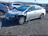 TOYOTA COROLLA LE JTDBU4EE5BJ****** photo