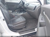 KIA SPORTAGE EX KNDPC3A21C7****** photo
