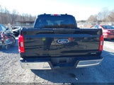 FORD F-150 KING RANCH/LARIAT/PLATINUM/XL/XLT 1FTEW1C89PK****** photo