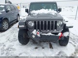 JEEP WRANGLER 4-DOOR RUBICON 4X4 1C4HJXFG6PW602292 fotografie