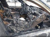 BMW 335D WBAPN735X9A266324 снимка