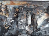 TOYOTA PICKUP 1/2 TON SHORT WHLBASE STB 4TARN81A1NZ****** снимка