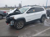 JEEP CHEROKEE TRAILHAWK 4X4 1C4PJMBX9LD529182 снимка