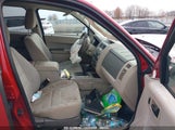 Ford Escape Xlt 1FMCU0DG5BKB79504 fotografie