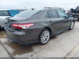 TOYOTA CAMRY XLE 4T1F11AK5LU878786 photo