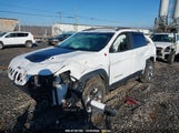 JEEP CHEROKEE TRAILHAWK 4X4 1C4PJMBX6KD341413 снимка