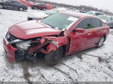 NISSAN ALTIMA 2.5/2.5 S/2.5 SL/2.5 SR/2.5 SV 1N4AL3AP8GC168153 fotografie