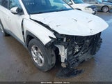 HYUNDAI TUCSON SEL 5NMJB3AE0PH239049 снимка