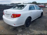TOYOTA COROLLA LE JTDBU4EE6AJ****** fotografie