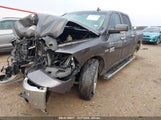 RAM 1500 LONE STAR 3C6RR6LT7GG295570 fotografie