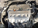 ACURA TSX JH4CU26699C034294 снимка