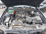 FORD MUSTANG V6 PREMIUM 1ZVBP8AM1C5216285 снимка