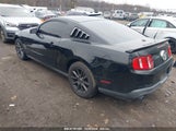 FORD MUSTANG V6 PREMIUM 1ZVBP8AM1C5216285 снимка